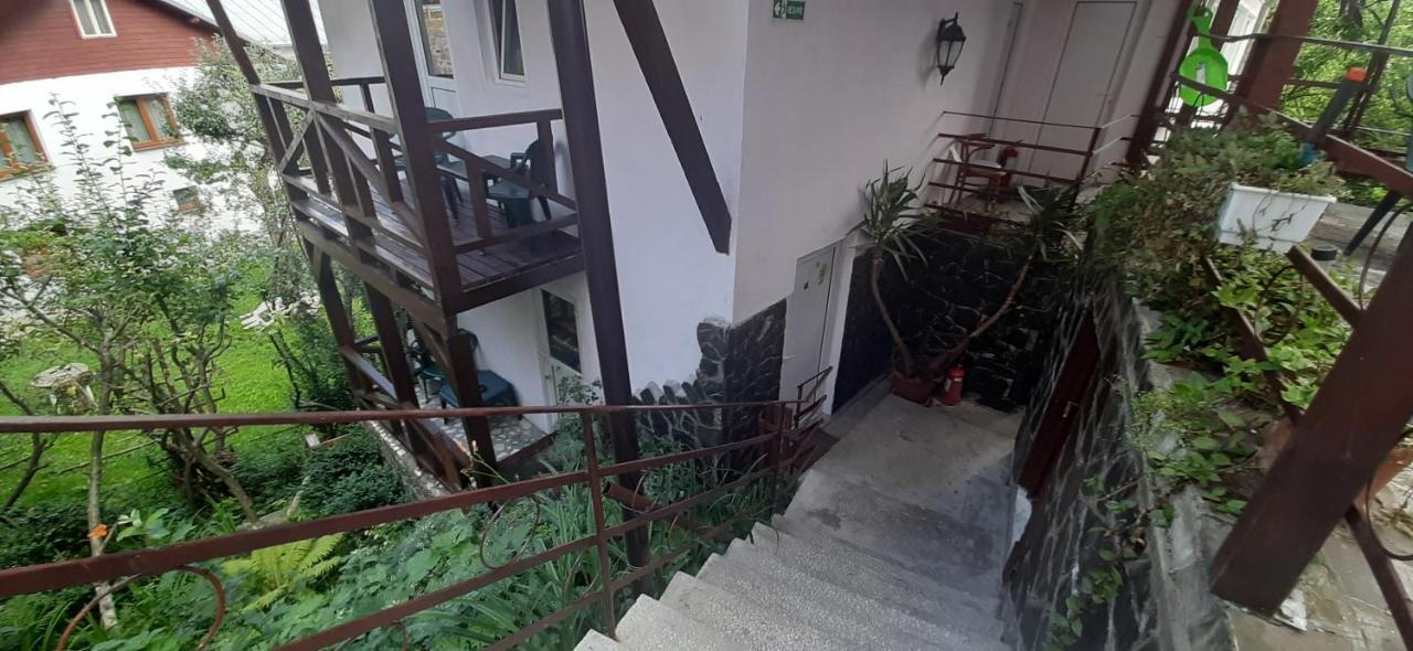Casa Cristina_ Cabana Буштени Экстерьер фото
