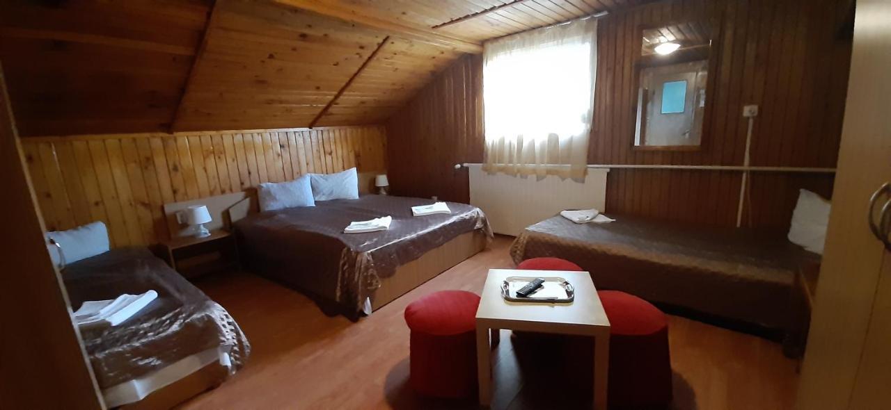Casa Cristina_ Cabana Буштени Экстерьер фото