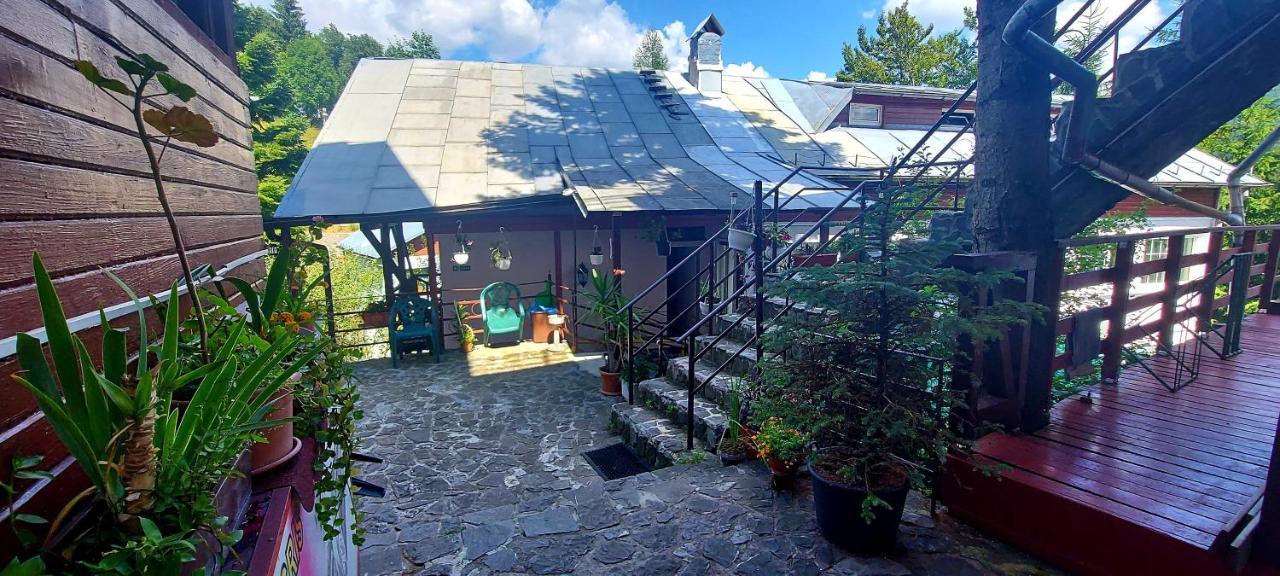 Casa Cristina_ Cabana Буштени Экстерьер фото